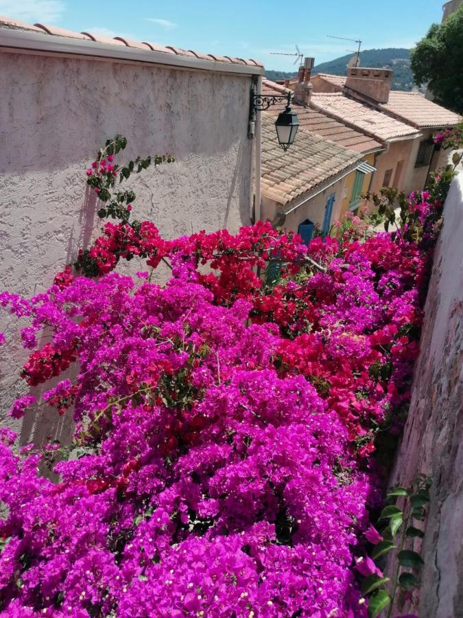 Beautiful Renovated Studio With View- Old Hyères Eksteriør bilde