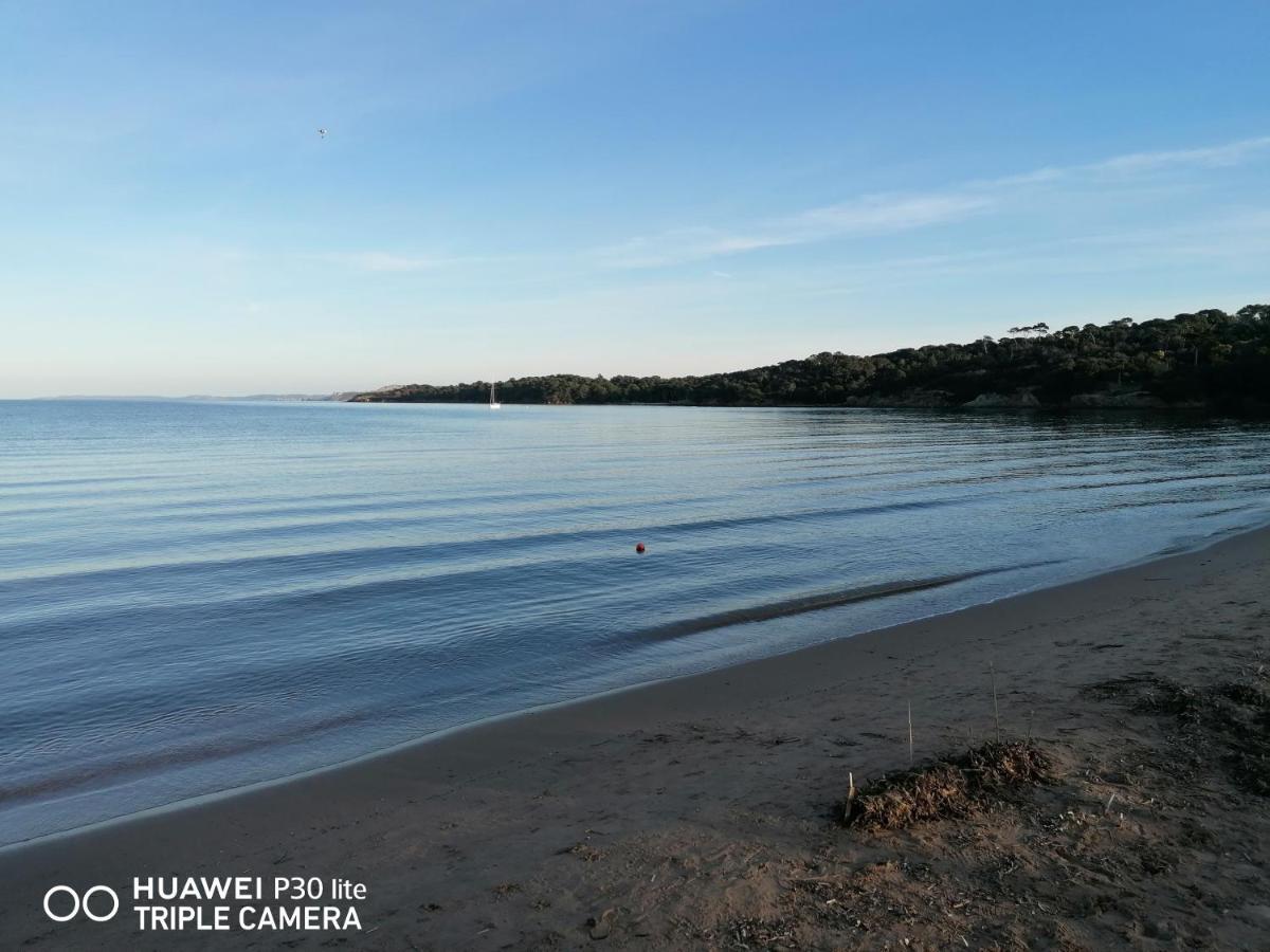 Beautiful Renovated Studio With View- Old Hyères Eksteriør bilde